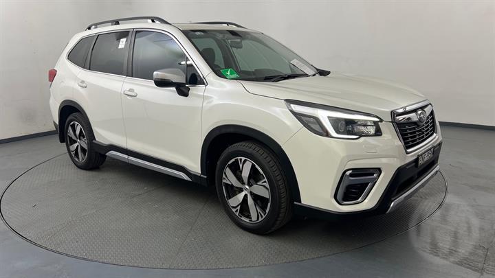 Lazy Owl Image