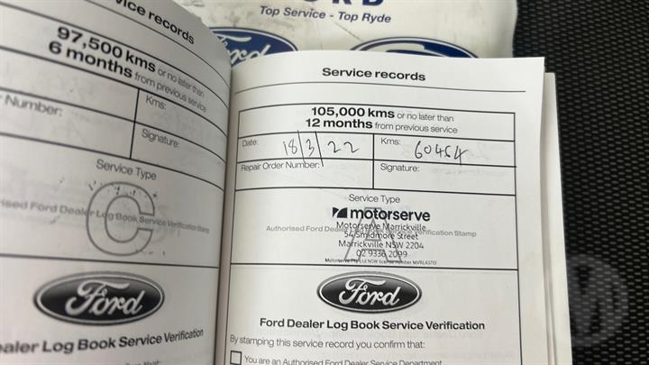 Lazy Owl Image