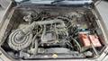 Lazy Owl Image