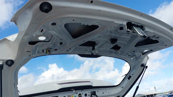 Lazy Owl Image