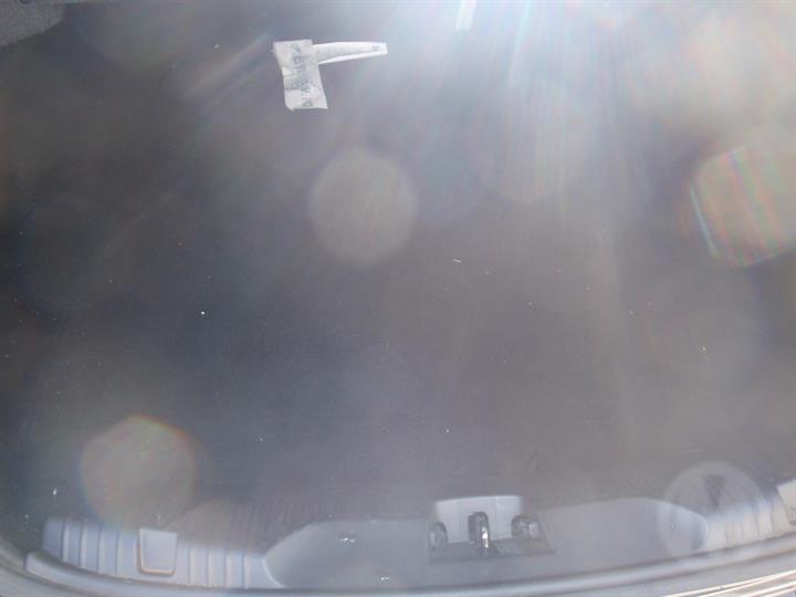 Lazy Owl Image