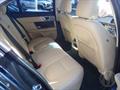 Lazy Owl Image
