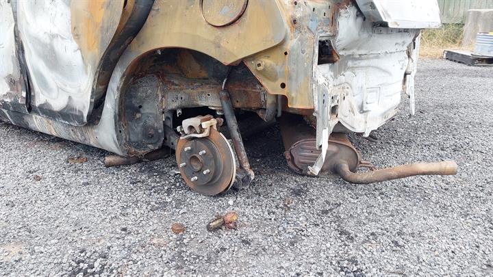 Lazy Owl Image