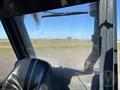 Lazy Owl Image