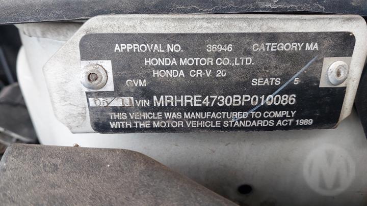 Lazy Owl Image