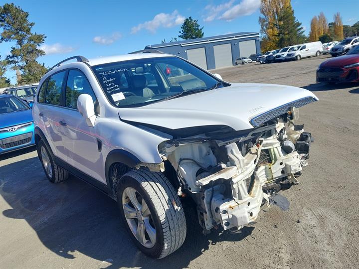 Lazy Owl Image