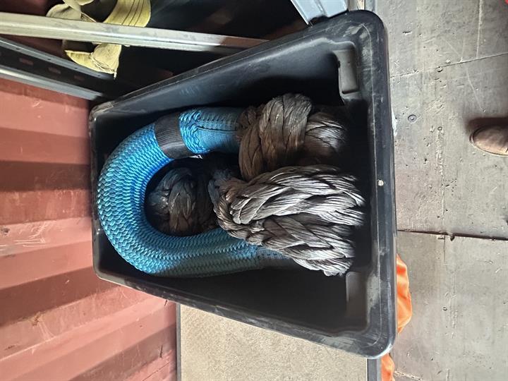Lazy Owl Image
