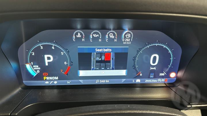 Lazy Owl Image