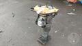 Lazy Owl Image