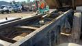 Lazy Owl Image