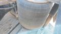 Lazy Owl Image