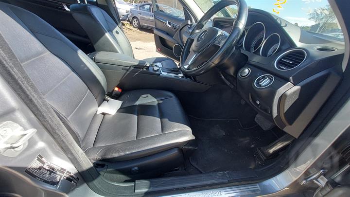 Lazy Owl Image