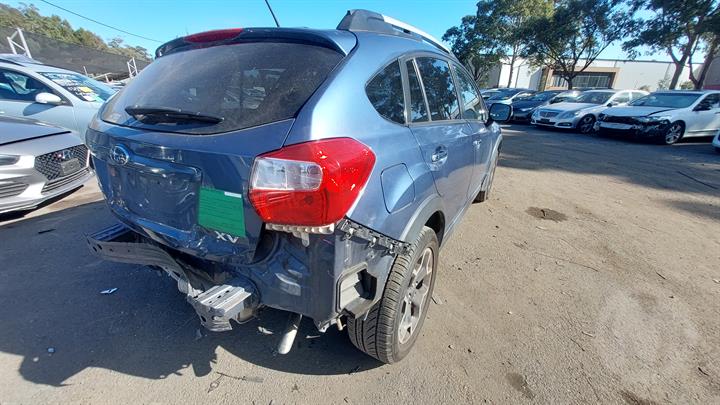 Lazy Owl Image