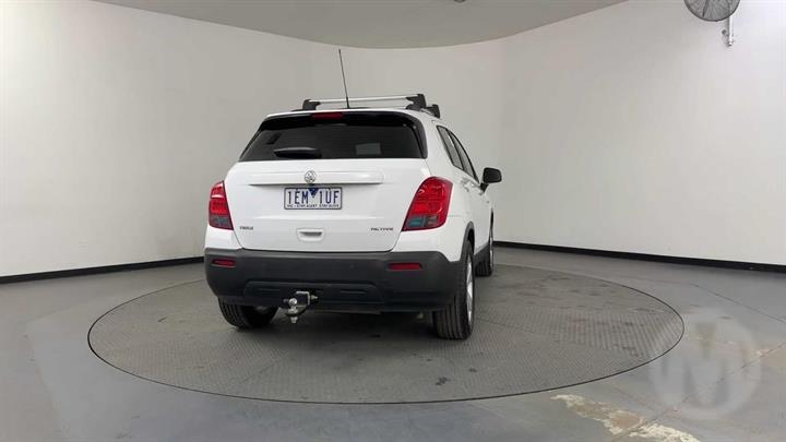Lazy Owl Image