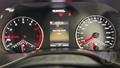 Lazy Owl Image