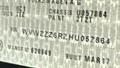 Lazy Owl Image