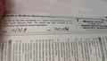 Lazy Owl Image