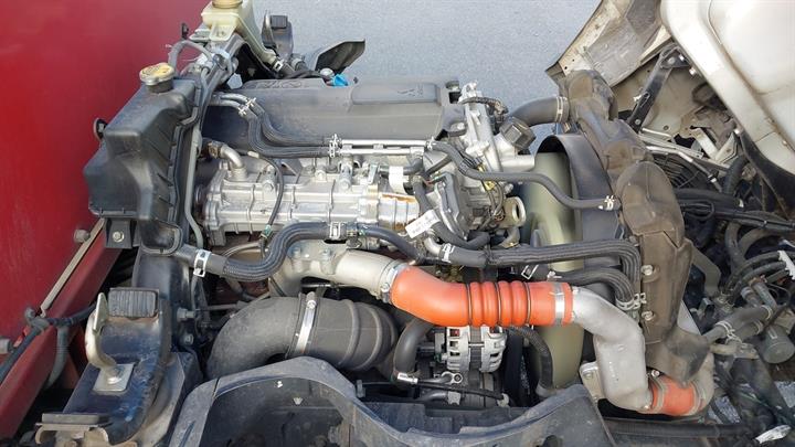 Lazy Owl Image