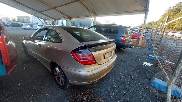 Lazy Owl Image