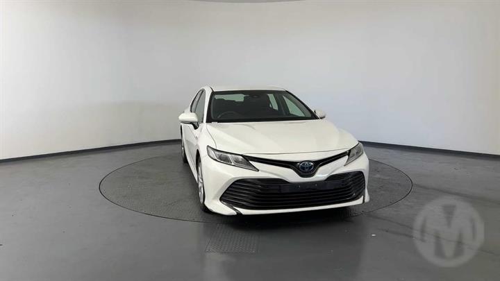 Lazy Owl Image