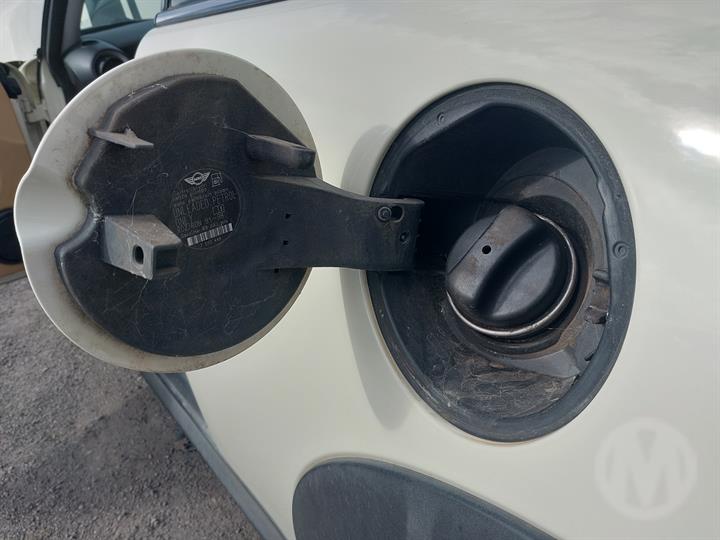 Lazy Owl Image