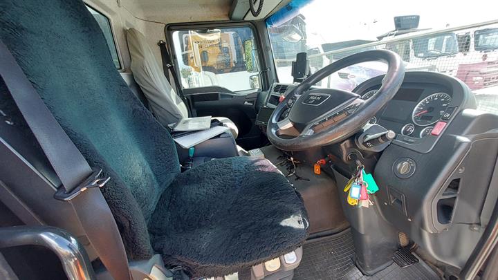 Lazy Owl Image