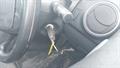 Lazy Owl Image