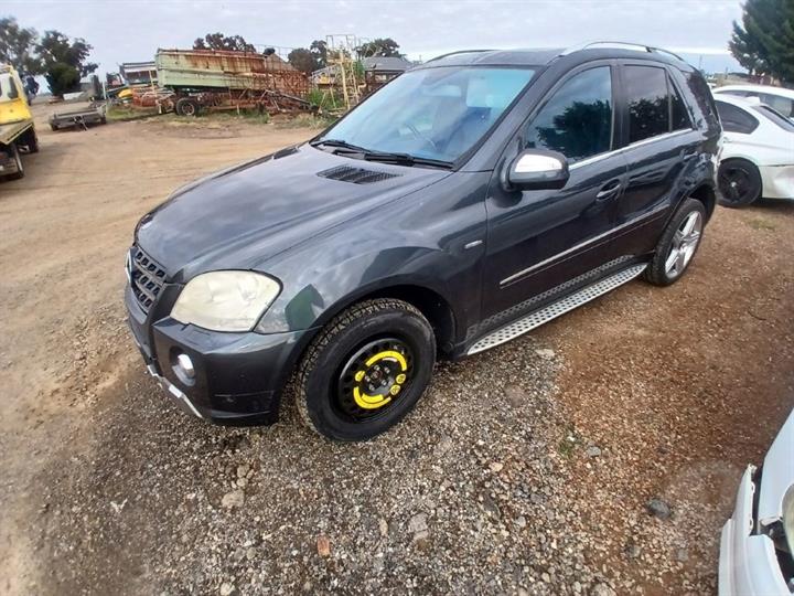 Lazy Owl Image