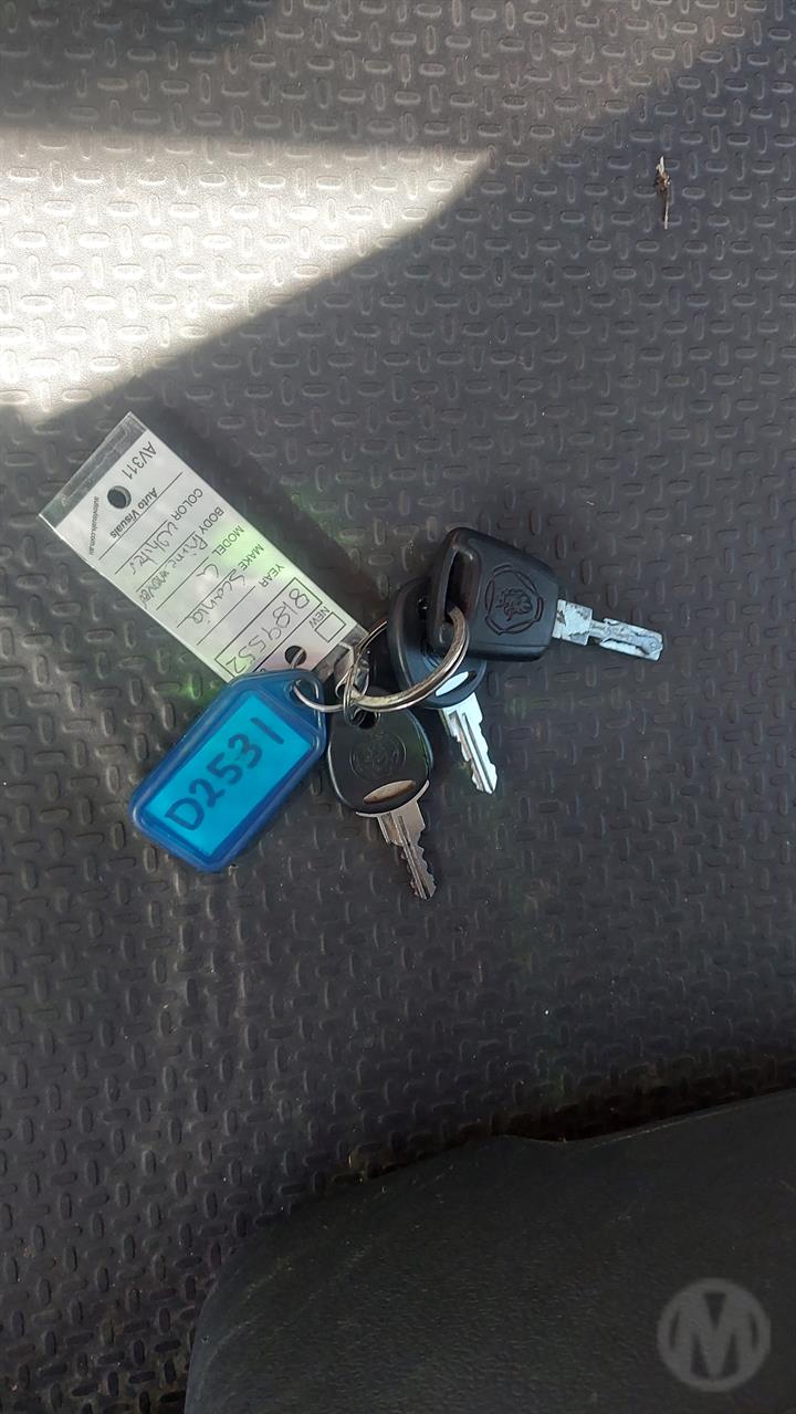Lazy Owl Image