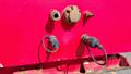 Lazy Owl Image