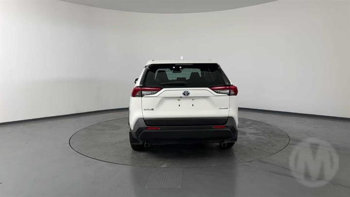 Lazy Owl Image