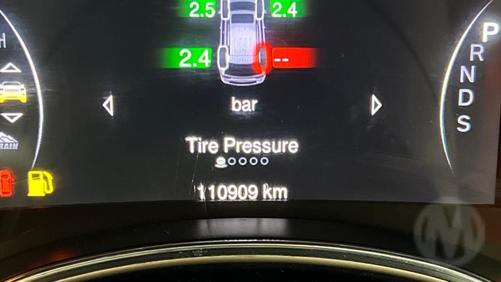 Lazy Owl Image