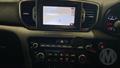 Lazy Owl Image