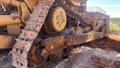 Lazy Owl Image
