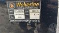 Lazy Owl Image