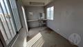 Lazy Owl Image