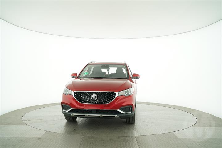 Lazy Owl Image