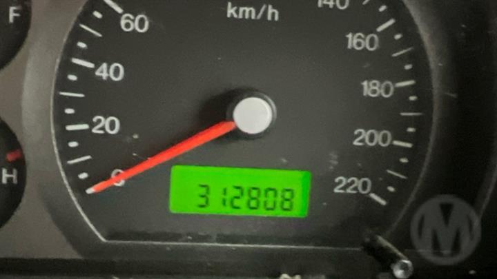 Lazy Owl Image