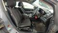 Lazy Owl Image
