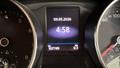 Lazy Owl Image