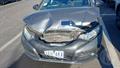 Lazy Owl Image
