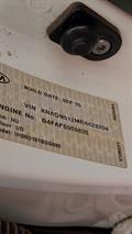 Lazy Owl Image