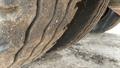 Lazy Owl Image