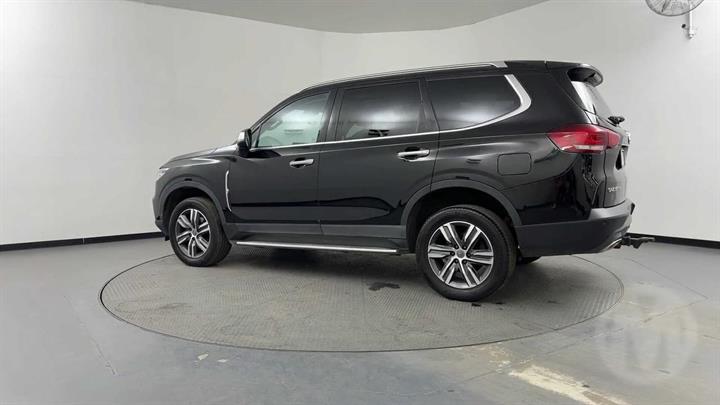 Lazy Owl Image