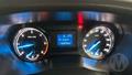 Lazy Owl Image