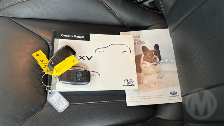 Lazy Owl Image
