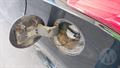 Lazy Owl Image