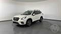 Lazy Owl Image