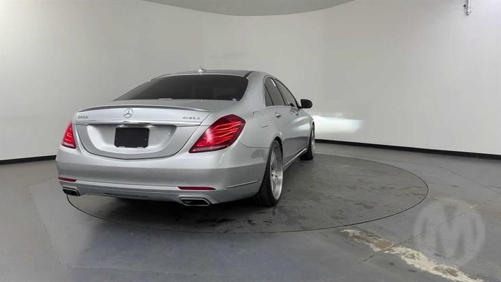 Lazy Owl Image