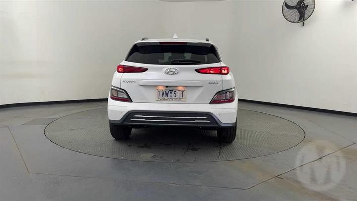 Lazy Owl Image